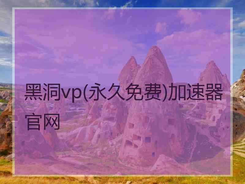 黑洞vp(永久免费)加速器官网