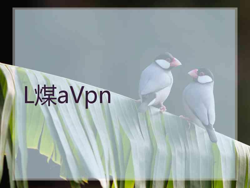 L煤aVpn