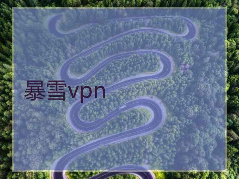 暴雪vpn