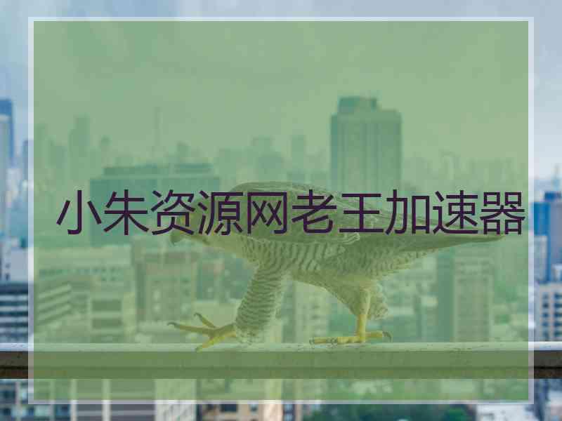 小朱资源网老王加速器
