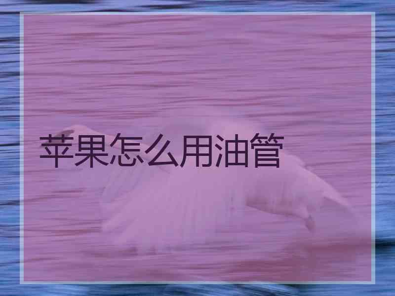 苹果怎么用油管