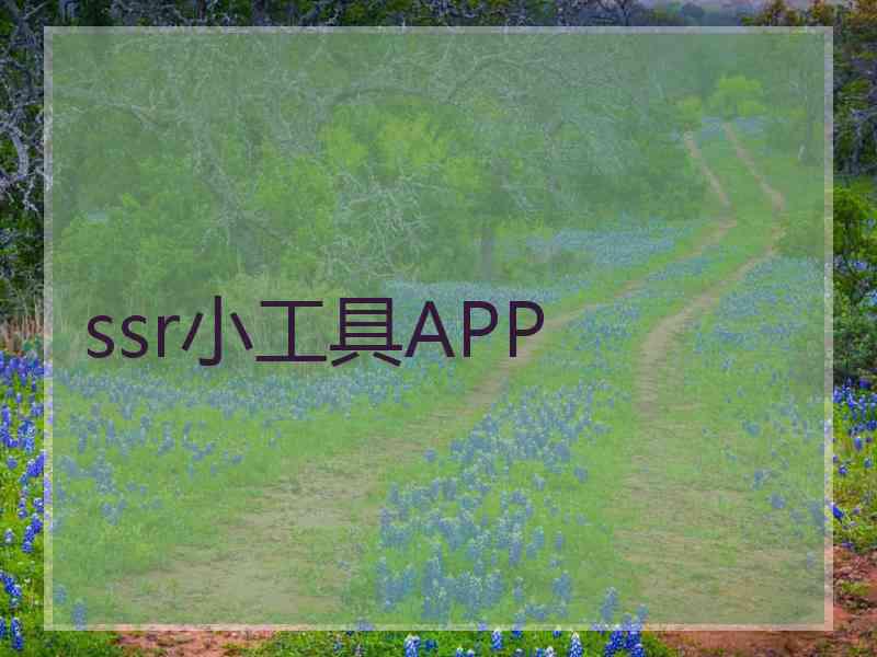 ssr小工具APP