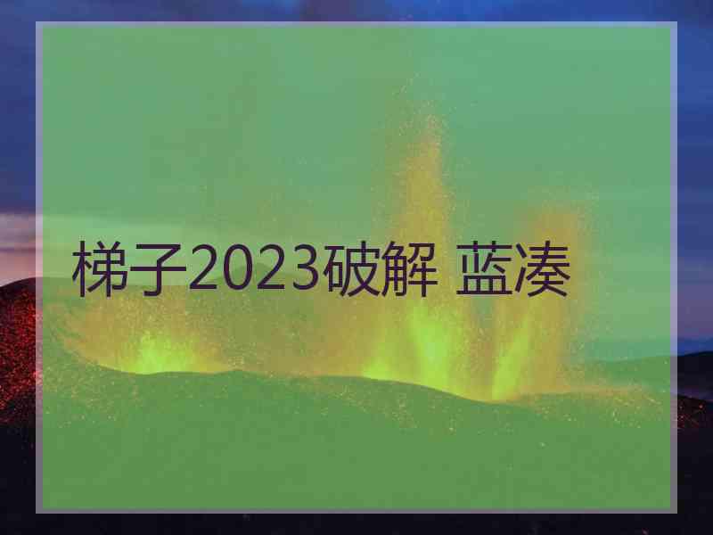 梯子2023破解 蓝凑