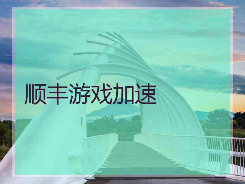 顺丰游戏加速