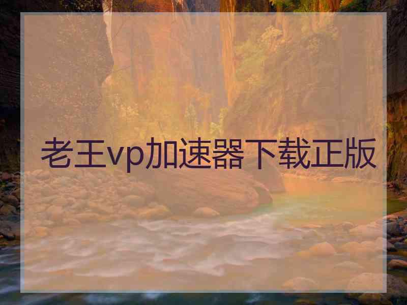 老王vp加速器下载正版