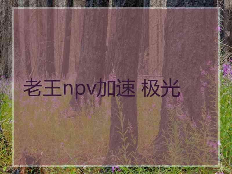 老王npv加速 极光