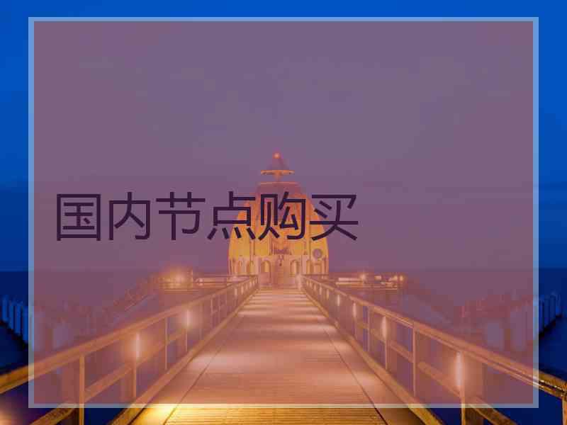 国内节点购买