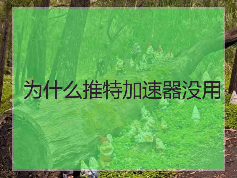 为什么推特加速器没用