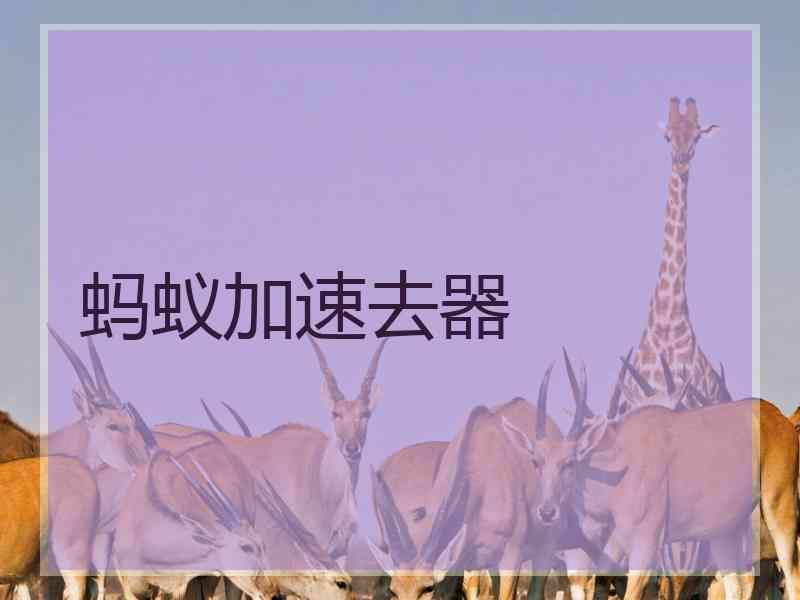 蚂蚁加速去器