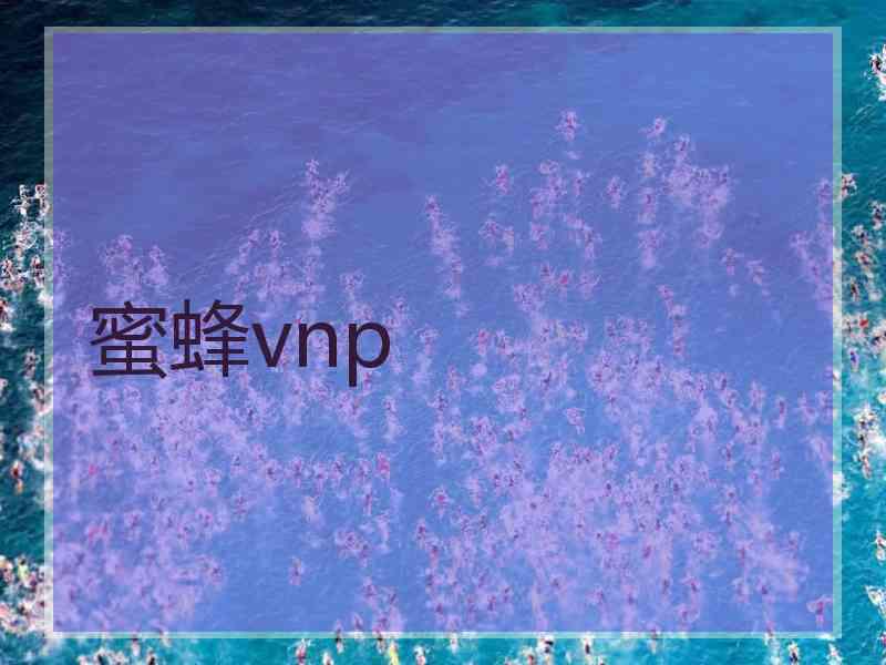 蜜蜂vnp