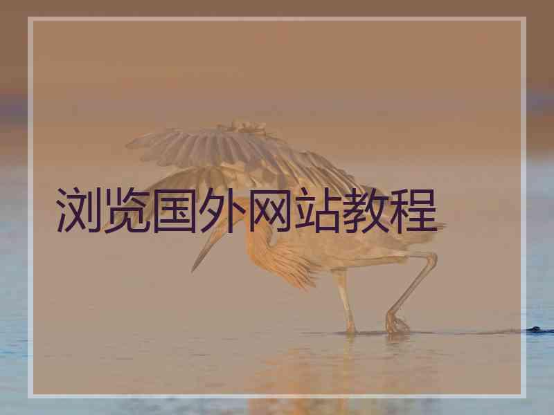 浏览国外网站教程