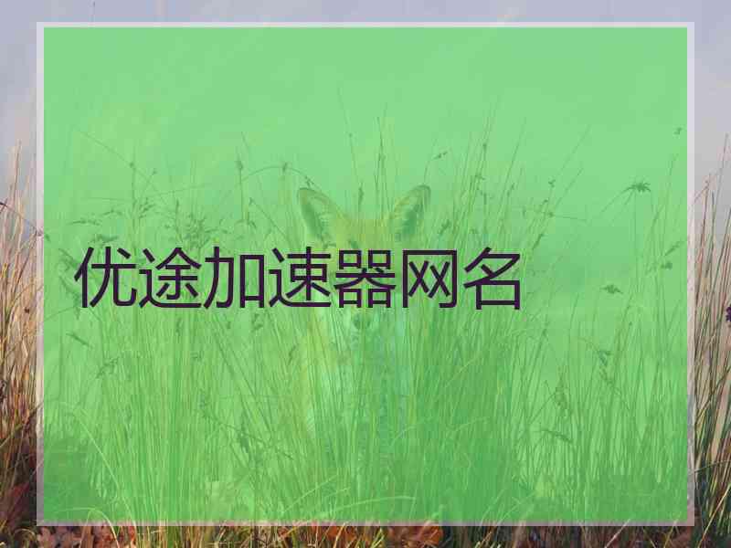 优途加速器网名
