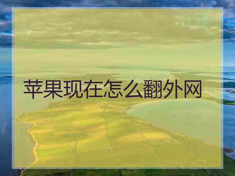 苹果现在怎么翻外网