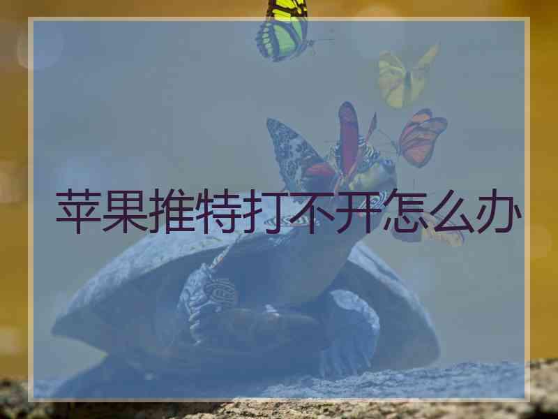 苹果推特打不开怎么办