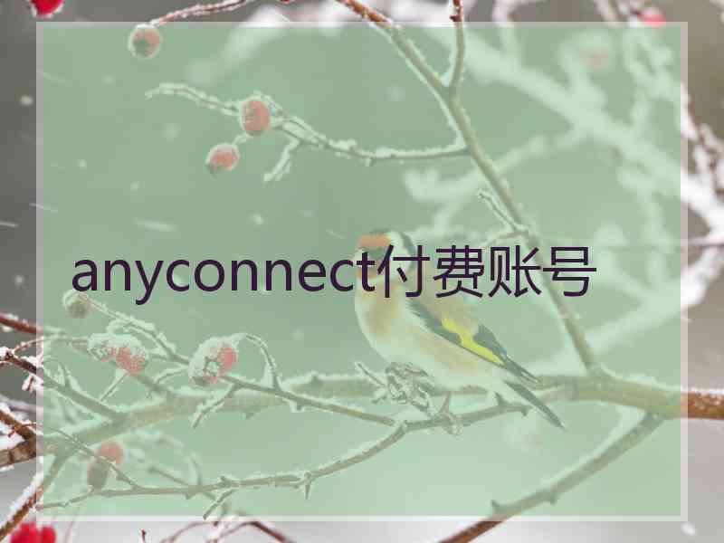 anyconnect付费账号