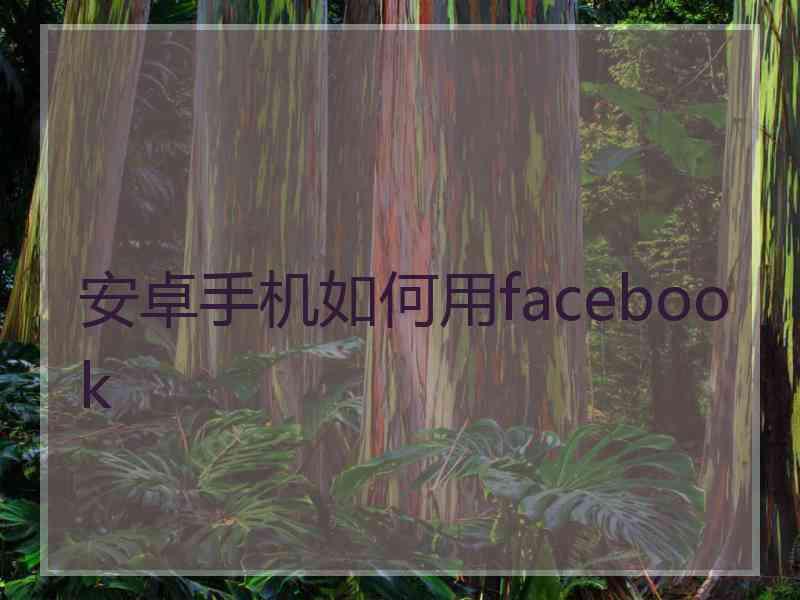 安卓手机如何用facebook