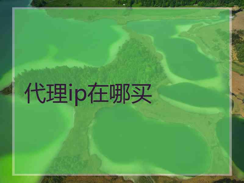 代理ip在哪买