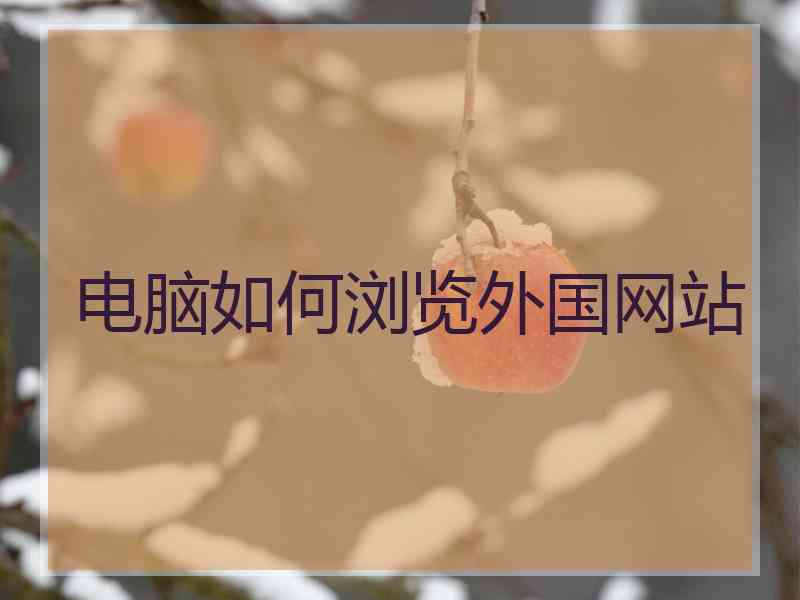 电脑如何浏览外国网站