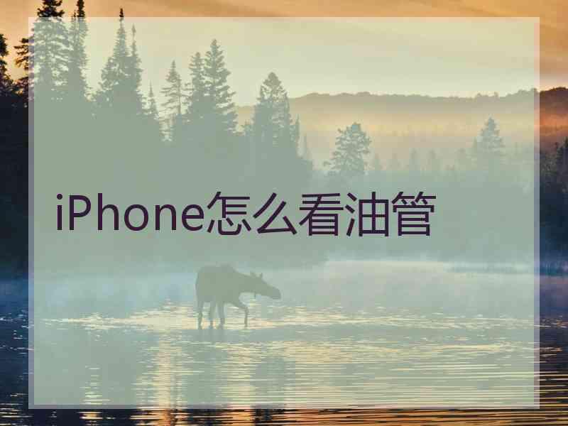 iPhone怎么看油管