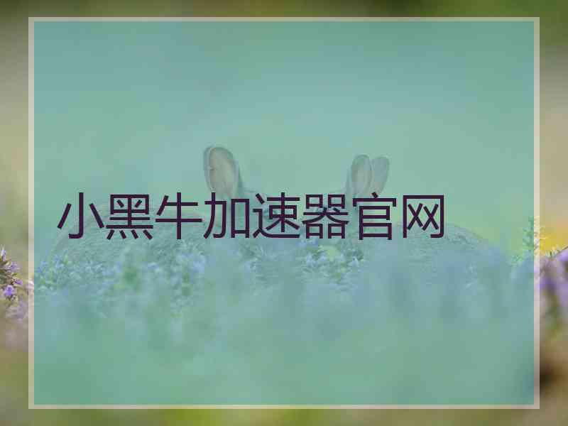 小黑牛加速器官网