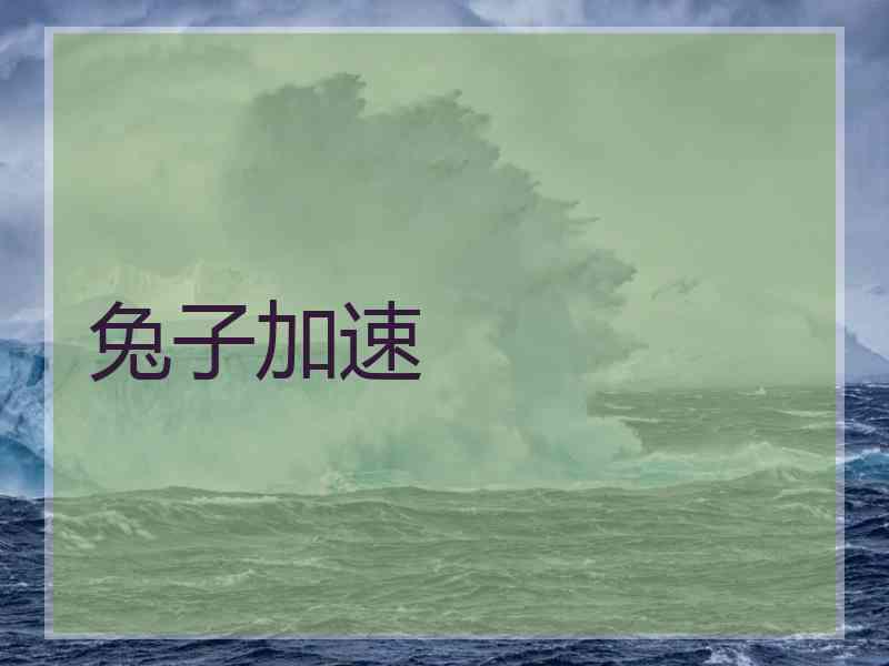 兔子加速