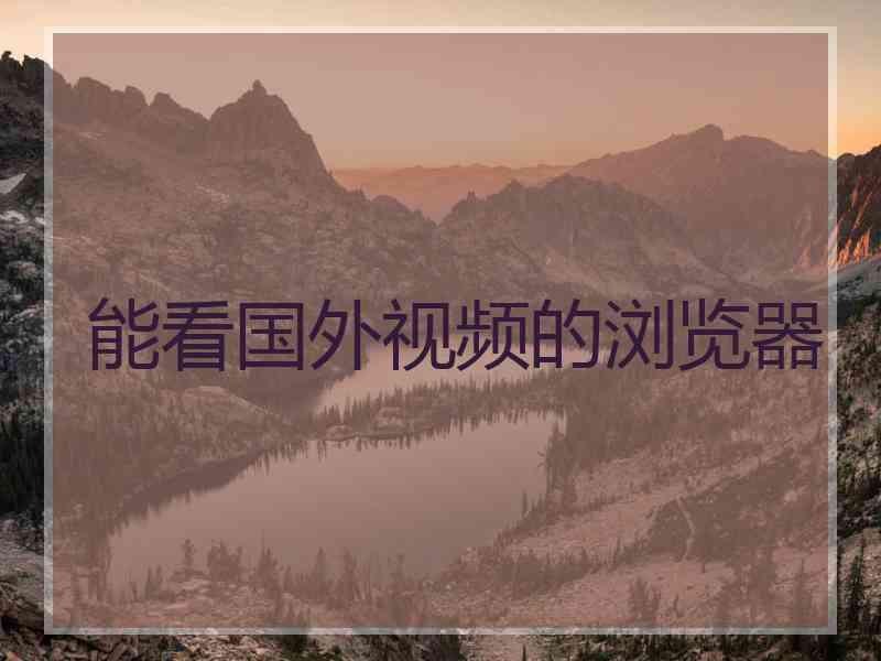 能看国外视频的浏览器