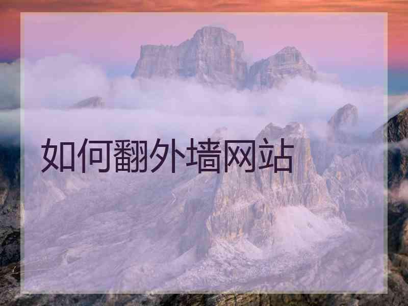 如何翻外墙网站