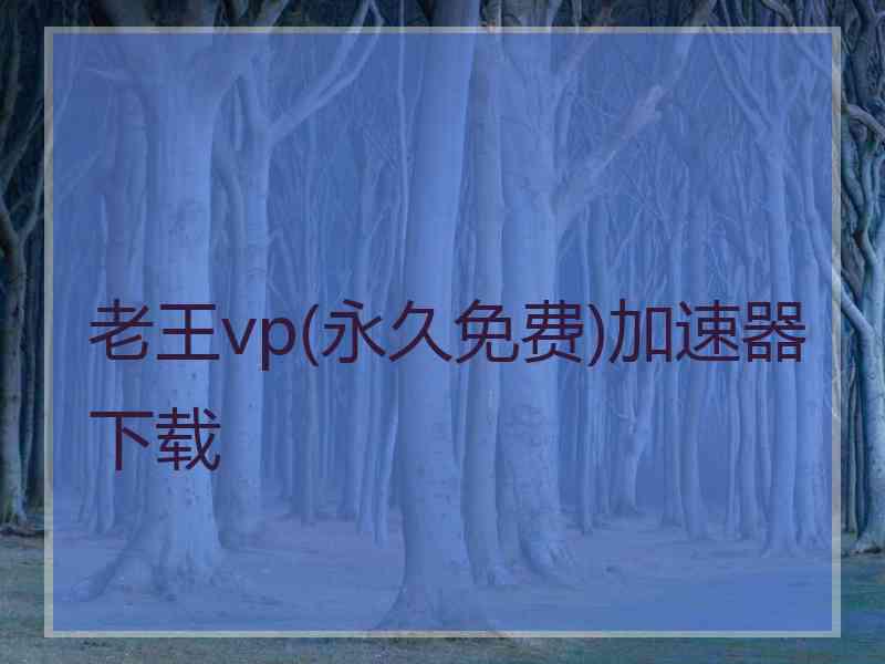 老王vp(永久免费)加速器下载