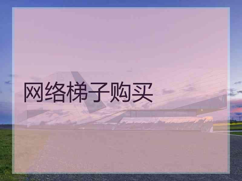 网络梯子购买
