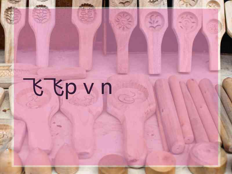 飞飞p v n