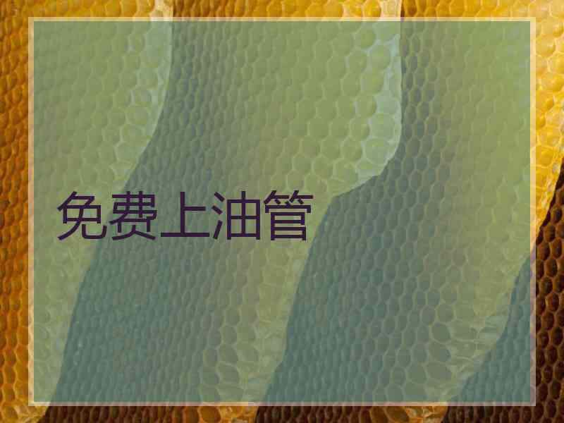 免费上油管