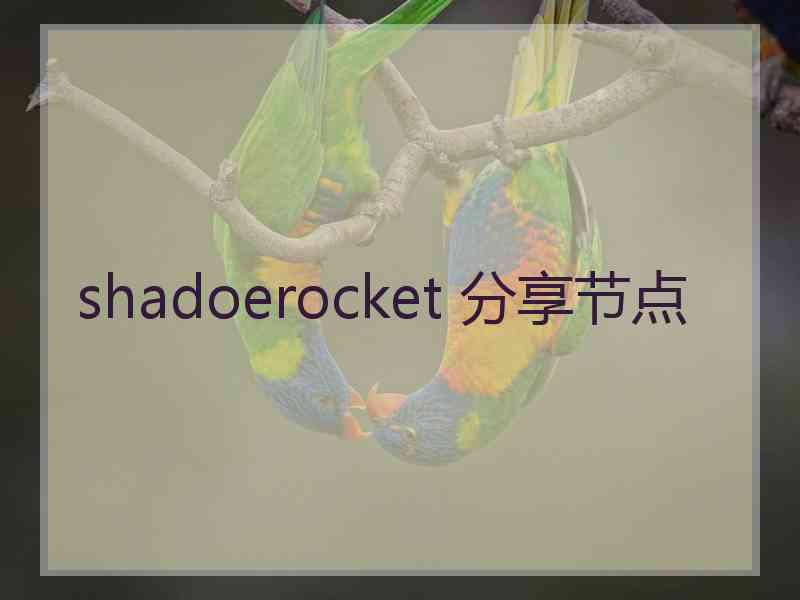 shadoerocket 分享节点