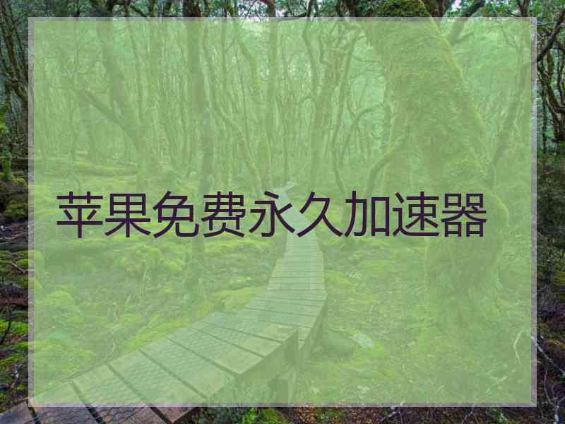 苹果免费永久加速器