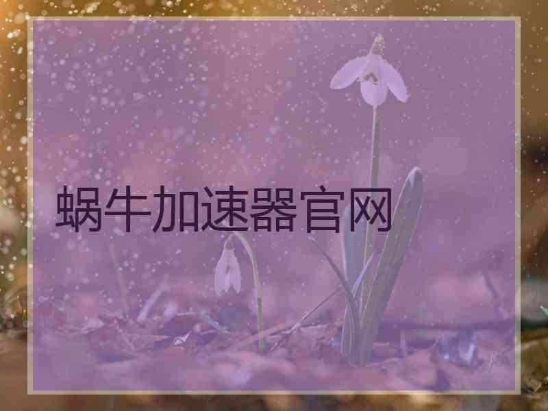 蜗牛加速器官网