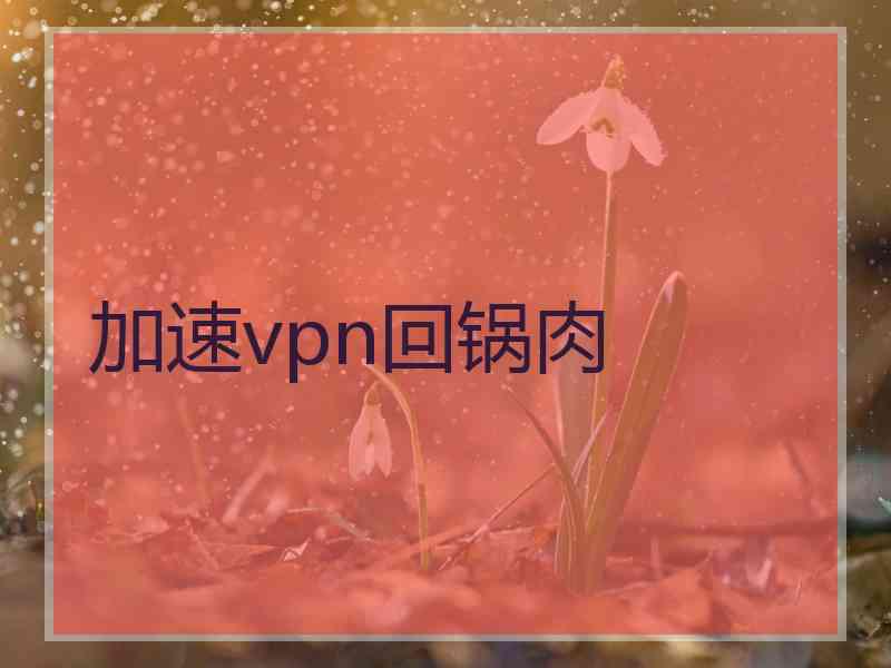 加速vpn回锅肉