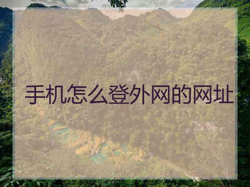手机怎么登外网的网址
