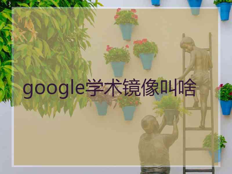 google学术镜像叫啥
