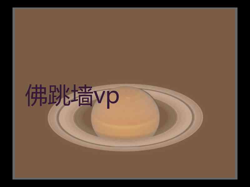 佛跳墙vp
