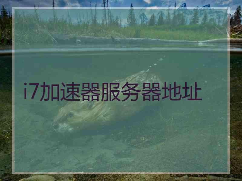 i7加速器服务器地址