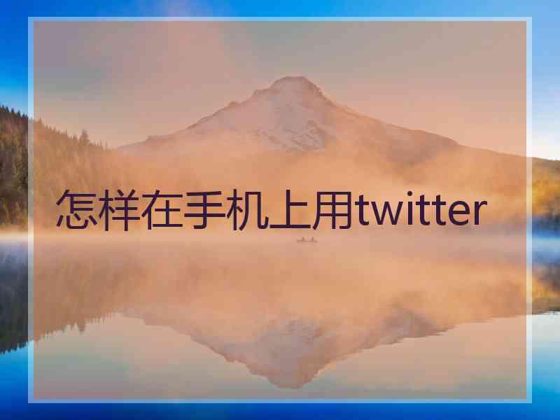 怎样在手机上用twitter