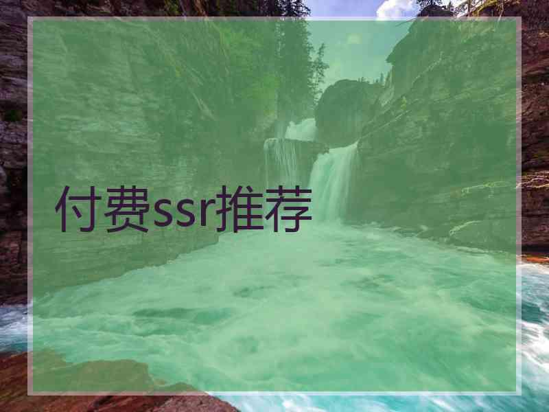 付费ssr推荐