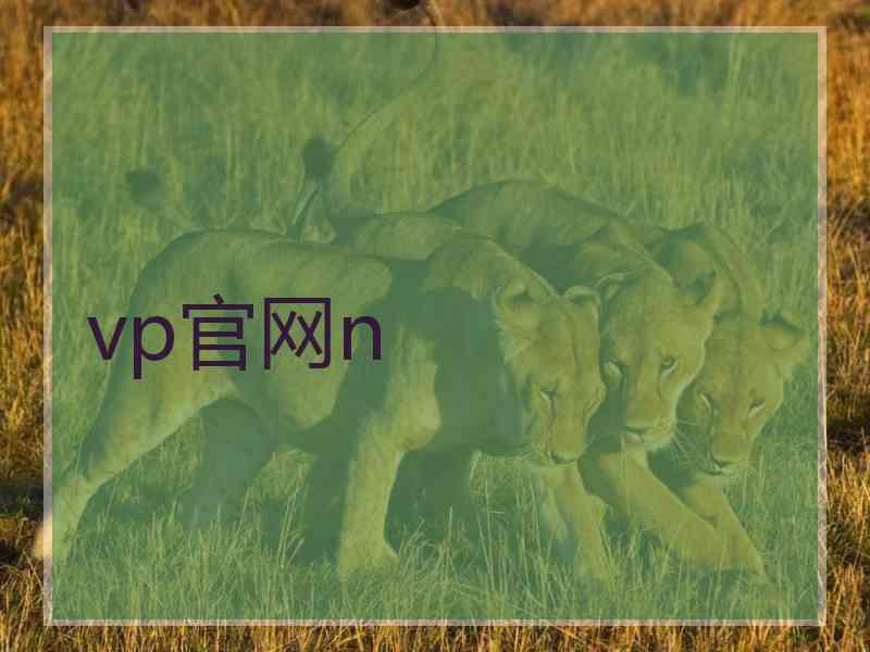 vp官网n