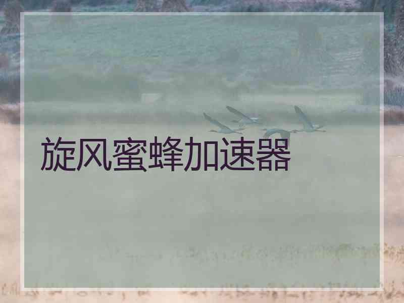 旋风蜜蜂加速器