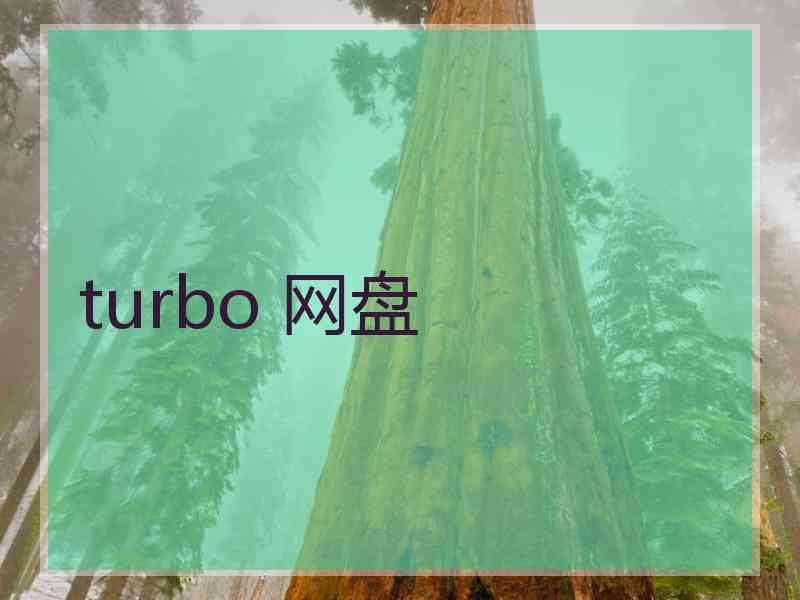 turbo 网盘