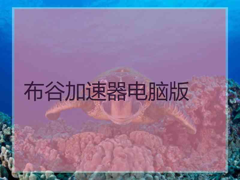 布谷加速器电脑版