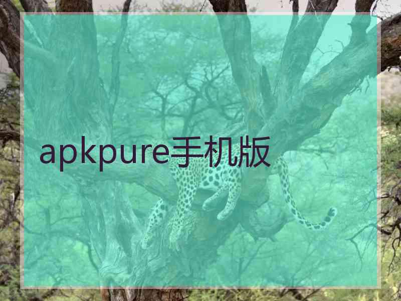 apkpure手机版