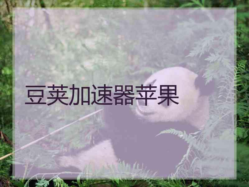 豆荚加速器苹果
