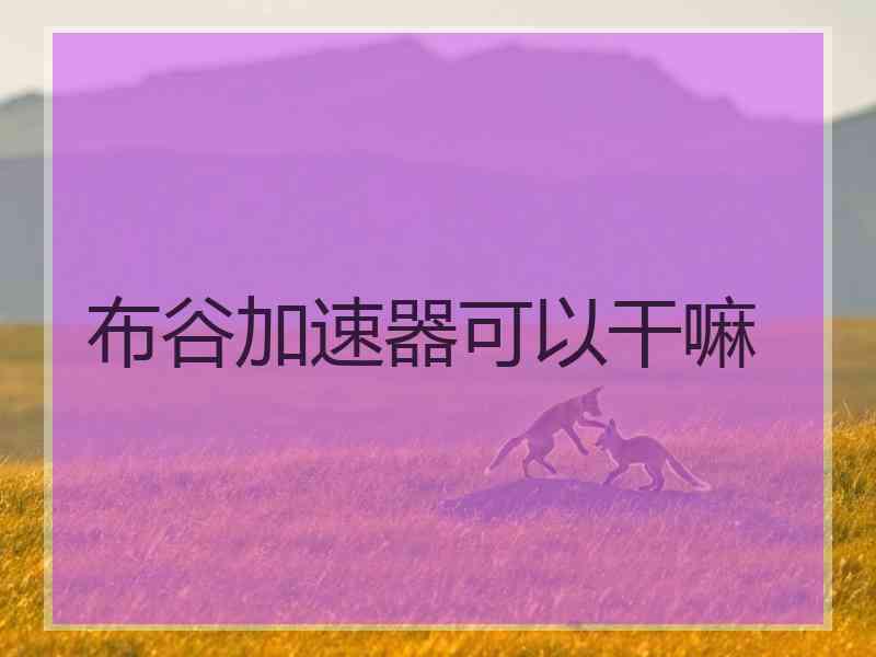 布谷加速器可以干嘛