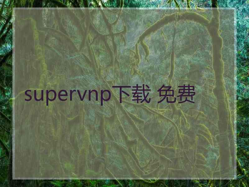 supervnp下载 免费