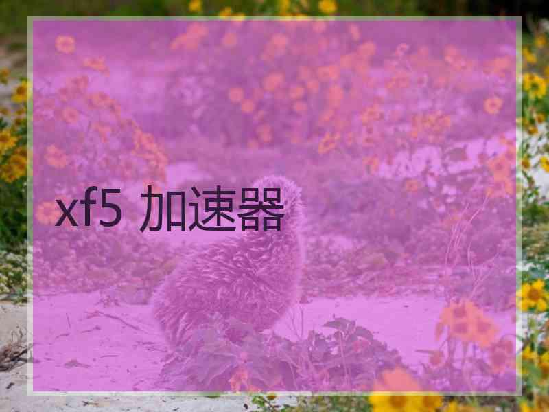 xf5 加速器
